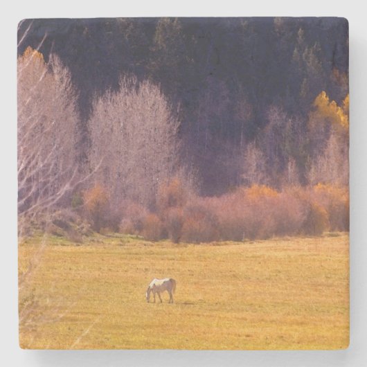 Paarden in Herfst I Stenen Onderzetter (Voorkant)