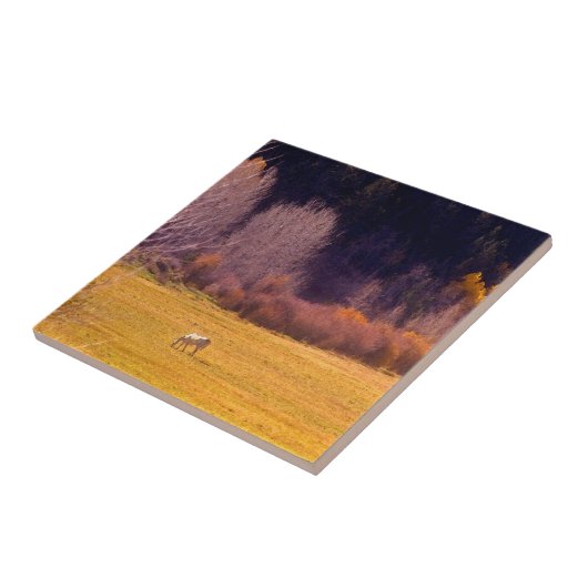 Paarden in Herfst I Tegeltje (Zijkant)