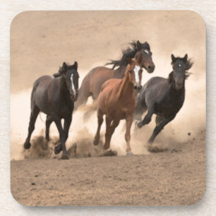 Paarden in Herfst II Onderzetter