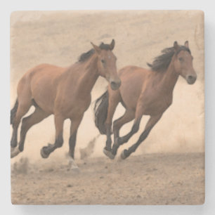 Paarden in Herfst II Stenen Onderzetter