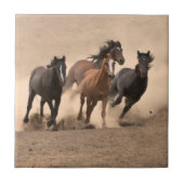 Paarden in Herfst II Tegeltje (Voorkant)