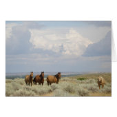 Paarden in het Amerikaanse westen (Voorkant Horizontaal)