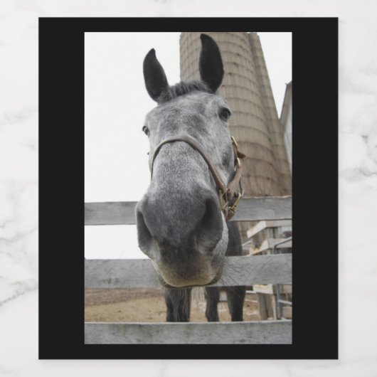 Paarden in het Boerderij Wijn Etiket (Enkel label)