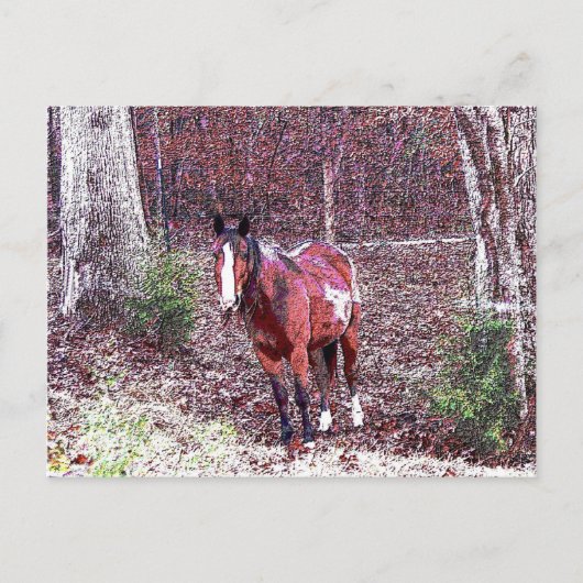 Paarden in het bos briefkaart (Voorkant)