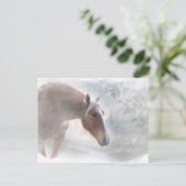 Paarden in het Briefkaart van de groeten van het S (Staand voorkant)