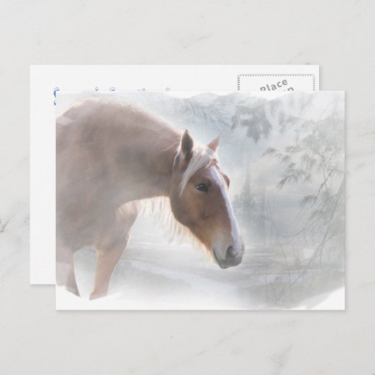 Paarden in het Briefkaart van de groeten van het S (Voorkant / Achterkant)