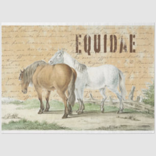 paarden in het deeg-landweefselpapier tissuepapier