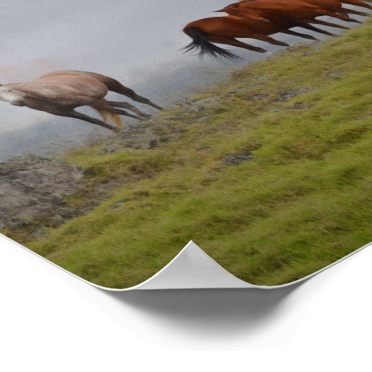 Paarden in het grasland poster (Hoek)