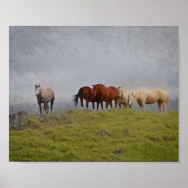 Paarden in het grasland poster