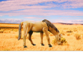 Paarden in het grasland t-shirt