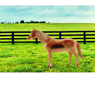 Paarden in het grasland t-shirt