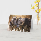 Paarden in het Harness Wenskaart Kaart (Gele Bloem)