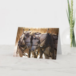 Paarden in het Harness Wenskaart Kaart