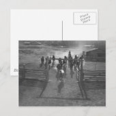 Paarden in het koraal briefkaart (Voorkant / Achterkant)