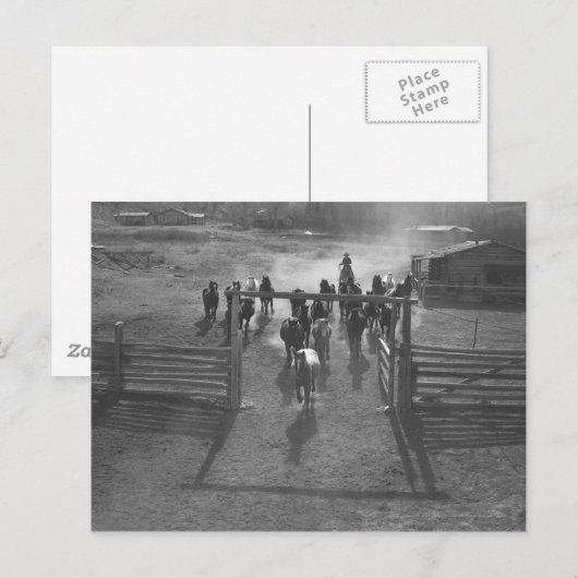 Paarden in het koraal briefkaart (Voorkant / Achterkant)