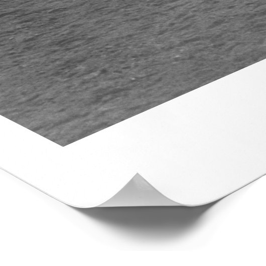 Paarden in het koraal poster (Hoek)