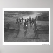 Paarden in het koraal poster (Voorkant)