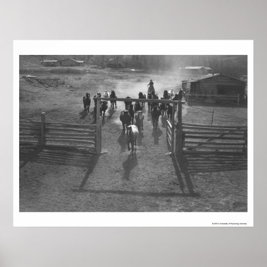 Paarden in het koraal poster (Voorkant)