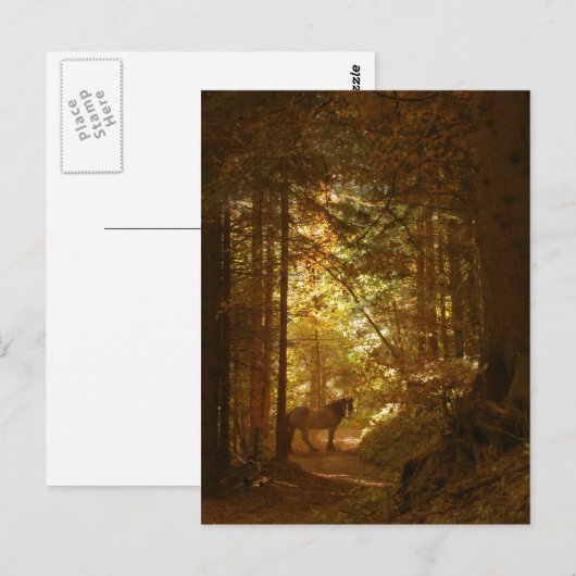 Paarden in het Magisch Lit Forest Briefkaart (Voorkant / Achterkant)