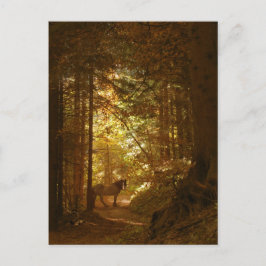 Paarden in het Magisch Lit Forest Briefkaart