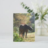 Paarden in het najaar briefkaart (Staand voorkant)