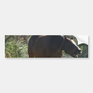 Paarden in het najaar bumpersticker