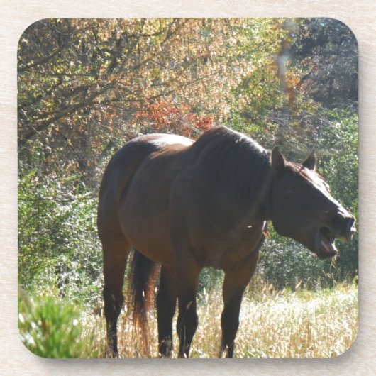 Paarden in het najaar drankjes onderzetter (Voorkant)
