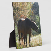 Paarden in het najaar fotoplaat (Zijkant)