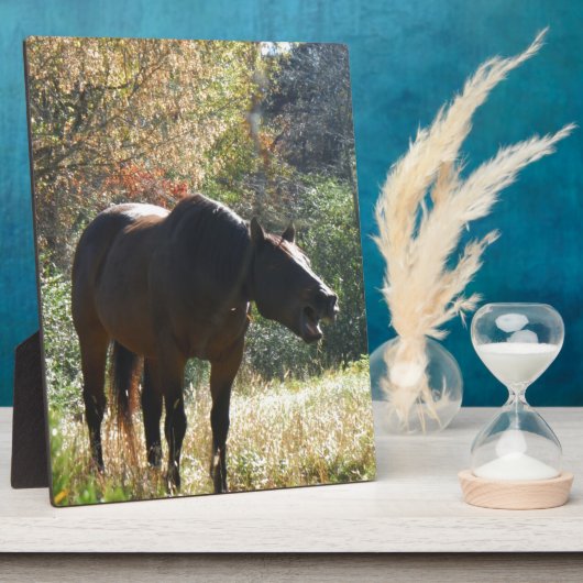 Paarden in het najaar fotoplaat (Zijkant)