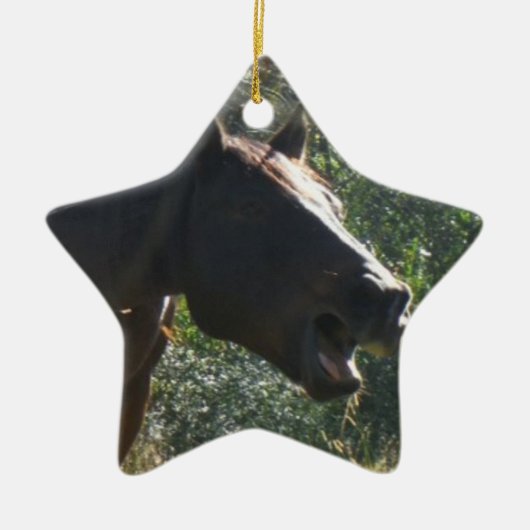 Paarden in het najaar keramisch ornament (Voorkant)