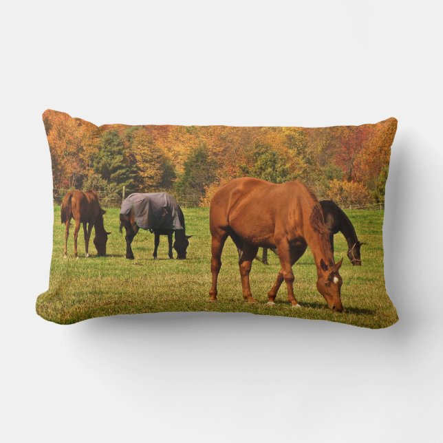 Paarden in het najaar kussen (Voorkant)