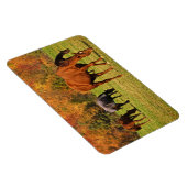 Paarden in het najaar magneet (Rechterzijde)