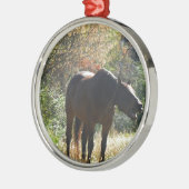 Paarden in het najaar metalen ornament (Links)