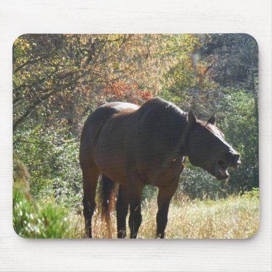 Paarden in het najaar muismat (Voorkant)