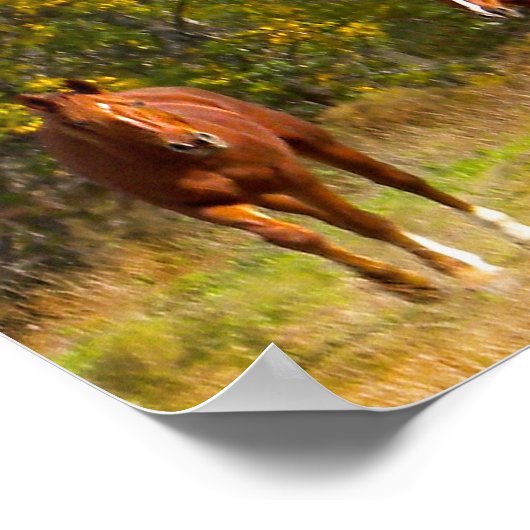 Paarden in het najaar poster (Hoek)