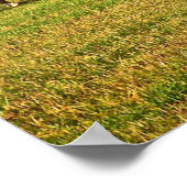 Paarden in het najaar poster (Hoek)