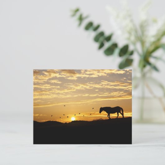 Paarden in het Sunset Briefkaart (Staand voorkant)