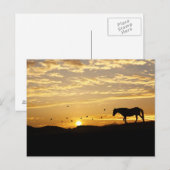 Paarden in het Sunset Briefkaart (Voorkant / Achterkant)