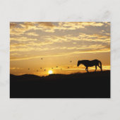 Paarden in het Sunset Briefkaart (Voorkant)