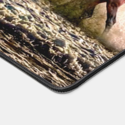 PAARDEN in het SURF Bureaumat (Hoek)