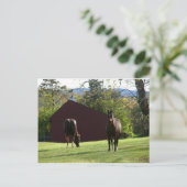 Paarden in het veld briefkaart (Staand voorkant)