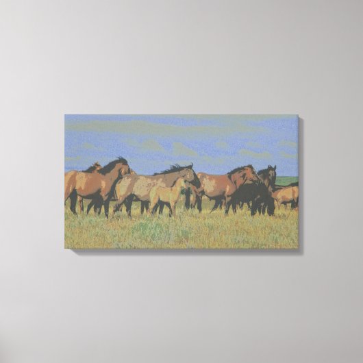 Paarden in het veld canvas afdruk (Voorkant)