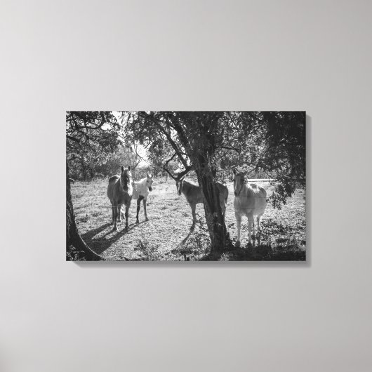 Paarden in het veld canvas afdruk (Voorkant)