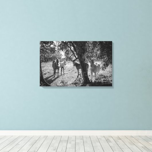 Paarden in het veld canvas afdruk (Insitu (Houten vloer))