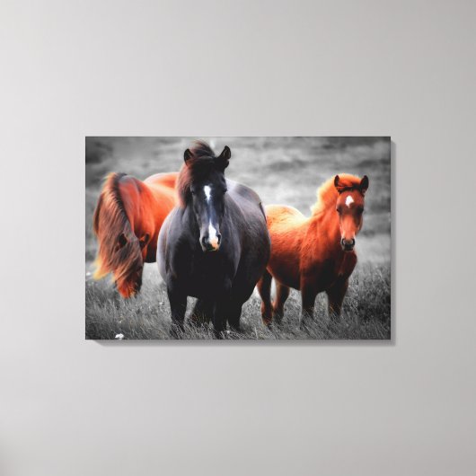 Paarden in het veld Gedeeltelijke kleurenfotografi Canvas Afdruk (Voorkant)