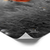 Paarden in het veld Gedeeltelijke kleurenfotografi Poster (Hoek)