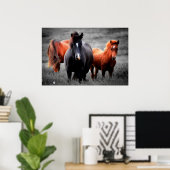 Paarden in het veld Gedeeltelijke kleurenfotografi Poster (Thuiskantoor)