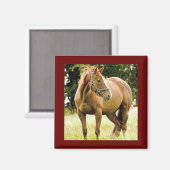 Paarden (in het veld) Magnet (Voorkant / Achterkant)