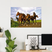 Paarden in het veld poster (Thuiskantoor)