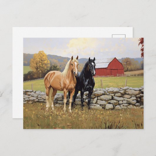 Paarden in het veld Rustiek Boerderij Briefkaart (Voorkant / Achterkant)